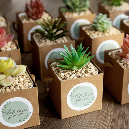 Temlum 2.5 Inch Succulent Wrap Bags (Fits 2.5″ Pots) with Thank You & Let Love Grow Stickers, Small Succulent Gift Box for Wedding, Baby Shower, Succulent Party Favors for Guests (Brown 100pcs)