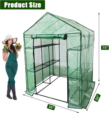 Greenhouse for Outdoors,Walk in 3-Tier 6 Shelves Green House w/ Roll-Up Zippered Door Anchors and Ropes,Waterproof & UV Protected Plant Garden Hot House for Garden Patio Backyard,57 x 57 x 76''