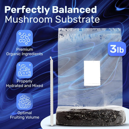 Surfin' Spores Mushroom Grow Kit | 4 lb Grow-in-Bag Kit/Monotub Refill | Includes: 1 lb Sterile Grain Bag with Injection Port & 3 lb Organic CVG Substrate | Spores Not Included (Single)