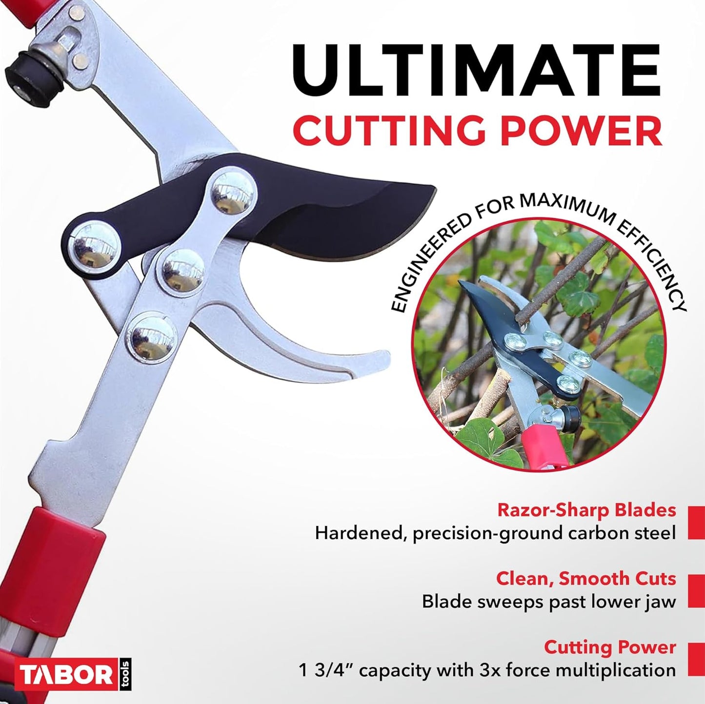 TABOR TOOLS GG21A Extendable Bypass Lopper with Compound Action, 27-40 Inch Telescopic Tree Trimmer, Long Handled Branch Cutter with ⌀ 1 1/2 Inch Cut Capacity, Makes Clean Neat Cuts.