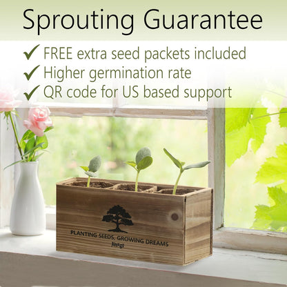 Avergo Bonsai Tree Kit – 3X Unique Japanese Bonzai Trees | Complete Indoor Starter Kit for Growing Bonsai Plants with Tools & Planters – Gardening Gifts for Women & Men