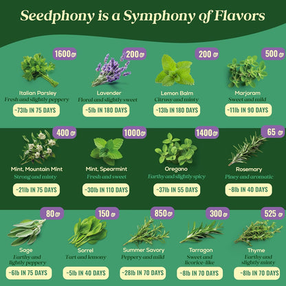 25 Culinary Herb Seeds Variety Pack - 13,055+ Non-GMO Heirloom Herbs Seeds for Planting Indoor & Outdoor: Rosemary, Basil, Catnip, Cilantro, Dill, Parsley, Oregano, Thyme, Mint, Tarragon, Lavender