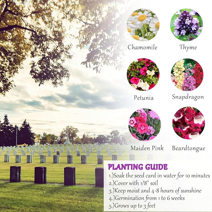 Set of 6 Seed Paper – 6 Purple Hearts & 6 White Pots with Bow for Weddings & Life Events