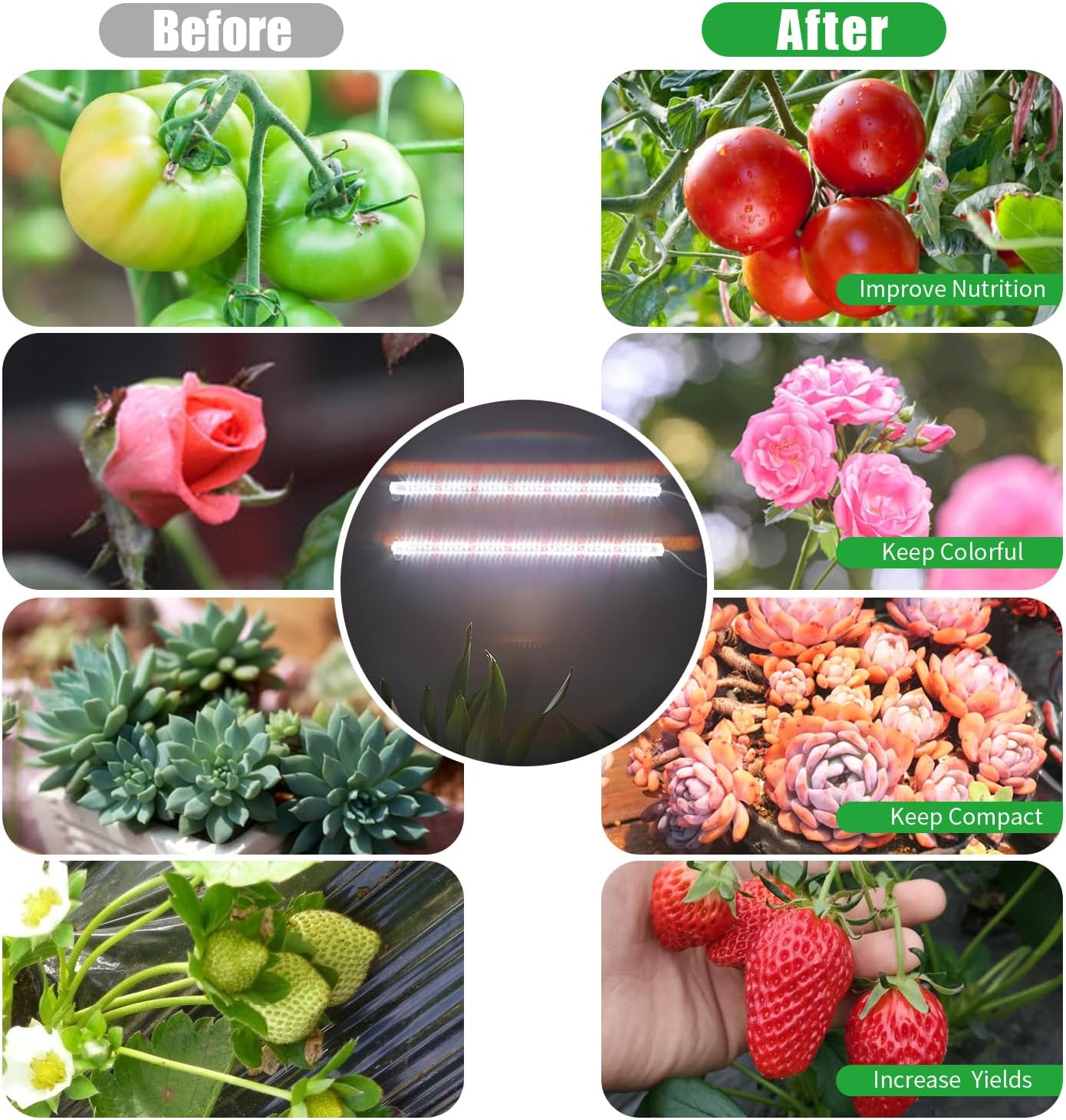 16‘’ LED Grow Light Strips for Indoor Plants，Full Spectrum 120 LEDs with 4 Install Methods, 6/12/16H Timer, 10 Dimmable Levels, 3 Switch Modes for Seedling Succulent Sunlike Strip (2 Head 1 Pack)