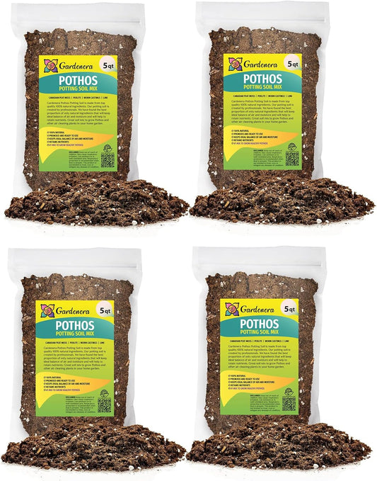 GARDENERA Premium Pothos Potting Soil Mix - Air Cleaning Plant Potting Mix, Soil Mix for Pothos, Parlor Palm, Peace Lily - (2 Quart Bag)