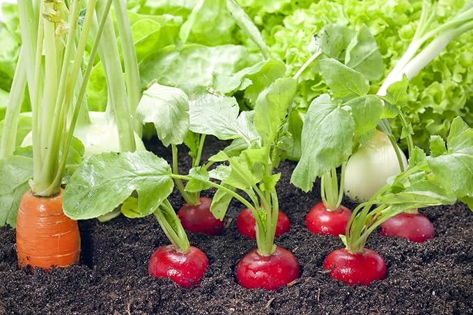 Super Absorbent Polymer Helps Plant Growth and Plant Establishment (10 Pounds)