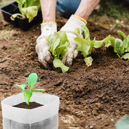 200Pcs Nursery Growing Bags, 5.8"x5" Small Grow Bag for Plants, Fabric Plant pots, Potato, Flower, Tomato Solid Seed Starter
