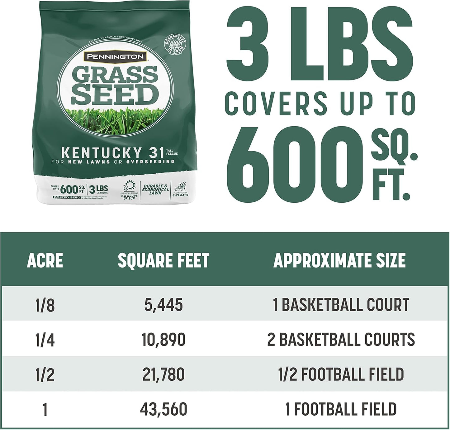Pennington Kentucky 31 Tall Fescue Penkoted Grass Seed 3 lb