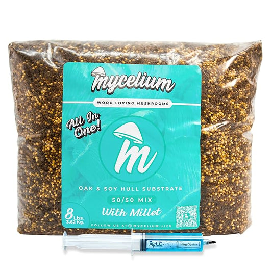 Mycelium’s King Oyster Gourmet Mushroom Kit | 8LBS Oak & Soy Hull with Millet Blend | 20ML Liquid Culture Syringe | All-in-One Complete Cultivation Kit | Pre-Sterilized - Home Growing Made Easy