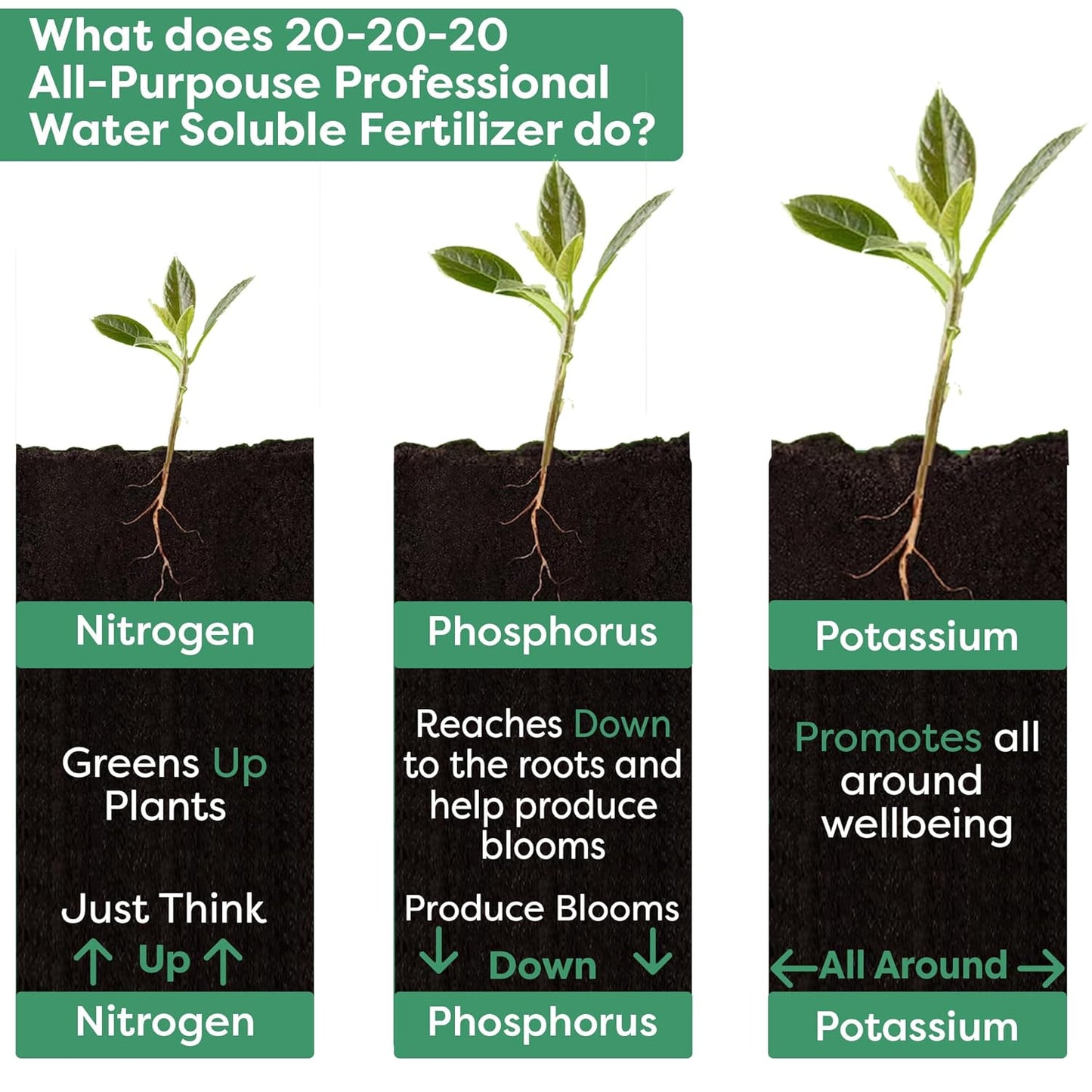 20-20-20 Water-Soluble Fertilizer – Powder for Liquid Plant Food for Indoor & Outdoor Plants, Orchids, Vegetables, Lawns, Flowers – 20 20 20 Fertilizer (20 QUARTS)