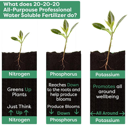20-20-20 Water-Soluble Fertilizer – Powder for Liquid Plant Food for Indoor & Outdoor Plants, Orchids, Vegetables, Lawns, Flowers – 20 20 20 Fertilizer (20 QUARTS)
