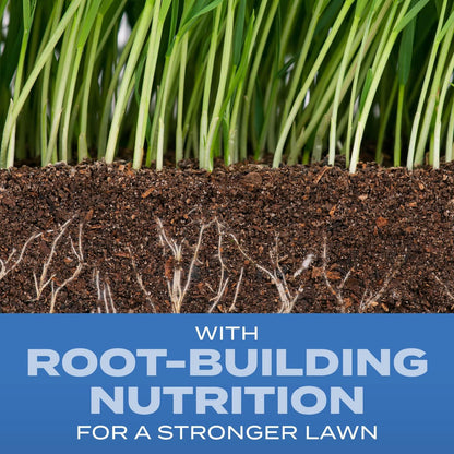Scotts Turf Builder Grass Seed Sun & Shade Mix with Fertilizer and Soil Improver, Thrives in Many Conditions, 2.4 lbs.