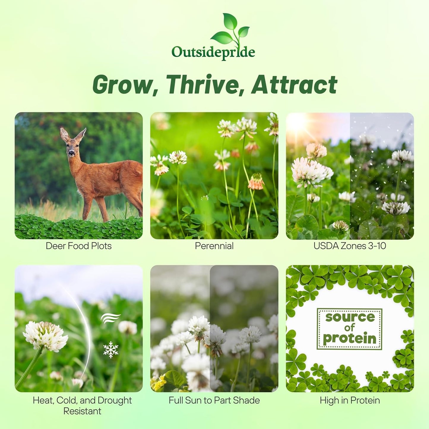 Outsidepride Perennial Clover King Seed Mix - 10 lbs Nitrocoated, Inoculated, Heat & Cold Tolerant, Alfalfa-Enhanced Food Plot Seeds for Deer & Wildlife, Ideal for Spring, Summer, & Winter Plots