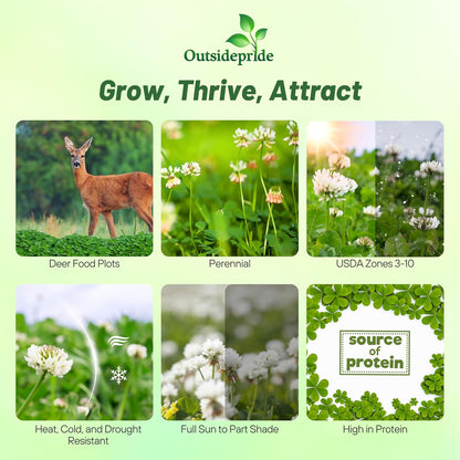 Outsidepride Perennial Clover King Seed Mix - 10 lbs Nitrocoated, Inoculated, Heat & Cold Tolerant, Alfalfa-Enhanced Food Plot Seeds for Deer & Wildlife, Ideal for Spring, Summer, & Winter Plots