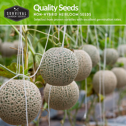 Melon Seeds Variety Pack – 6 Heirloom Cantaloupe, Honeydew & Watermelon Types for Planting – with Honey Rock, Hale’s Best, Tendersweet, Georgia Rattlesnake – Survival Garden Seeds