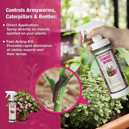 EcoVenger (by EcoRaider) Garden & Plant Insect Control 16 oz, Kills Aphids, Mealybugs, Red Spiders, Armyworms and Gnats All Stages and Eggs, Indoor/Outdoor, Plant-Based, Non-Toxic Child & Pet Safe
