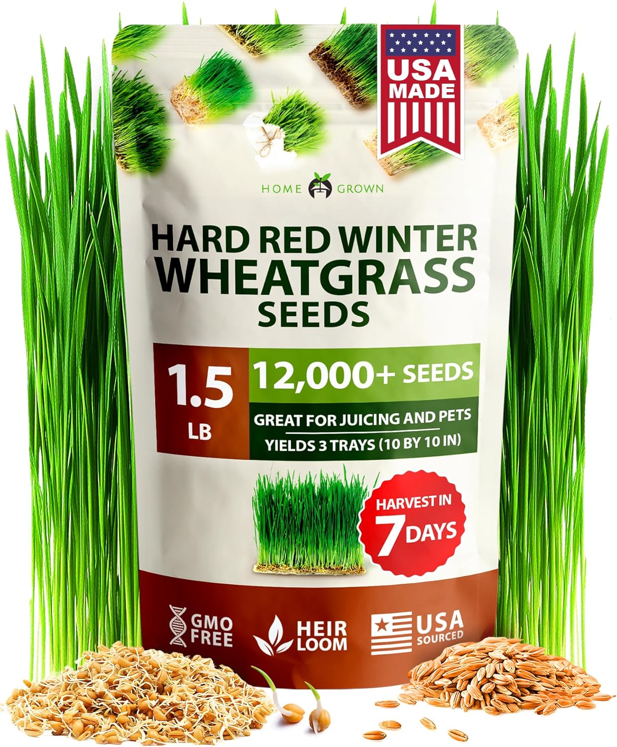 HOME GROWN 12,000+ Wheatgrass Seeds Bulk Pack(1.5 lb) 𝗡𝗢𝗡-𝗚𝗠𝗢 𝗨𝗦𝗔 Hard Red Winter Wheatgrass – Heirloom, Sprouting for Juicing, Microgreens, Smoothies & Indoor Gardening(Triticum aestivum)