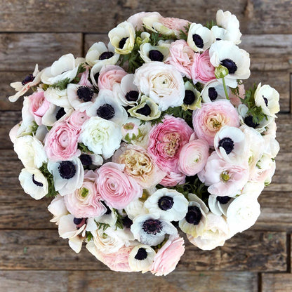 Eden Brothers Anemone & Ranunculus Bulbs- Paris in Spring Collection