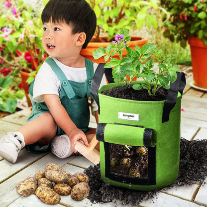 Sungmor 3PC Large Fabric Pots, Grow Bags for Plants 10 Gallon Patio Garden Bags Cloth Pots, Heavy Duty Thick Non Woven Planters Flower Pots Gardening Planting Bags for Flowers Vegetables Pepper Plants
