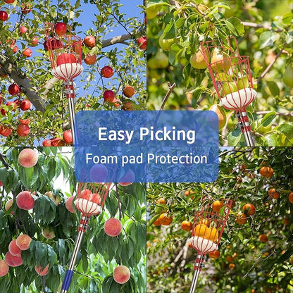 Fruit Picker Pole with Basket - 8 Foot Adjustable Height Fruit Picker Tool with Stainless Steel Fruit Picking Pole for Apple Cherry Berry Fit Orange Blueberry Mango Avocado Lemon Peach