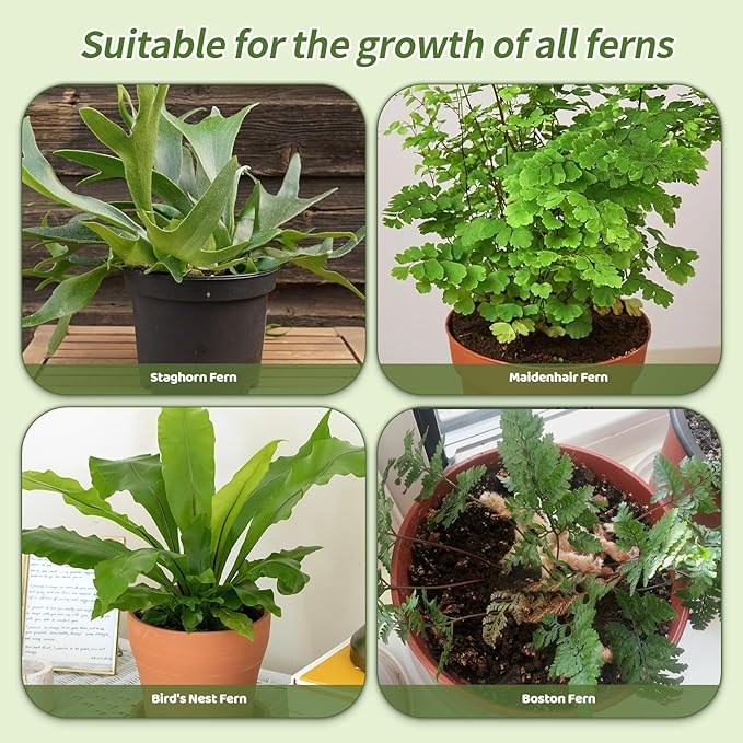 Potting Soil Mix for Fern 2qt, Custom Hand Blended Mixture Suitable for Indoor/Outdoor Potted Fern Plant