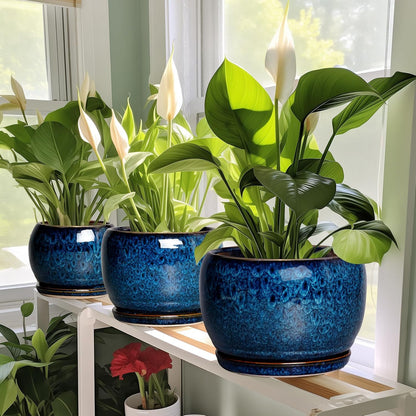 SQOWL 6 Inch Plant Pot - Ceramic Planter Pot with Drainage Hole and Saucer, Succulent Pot Round Flower Pot for Indoor Plants Outdoor, Blue