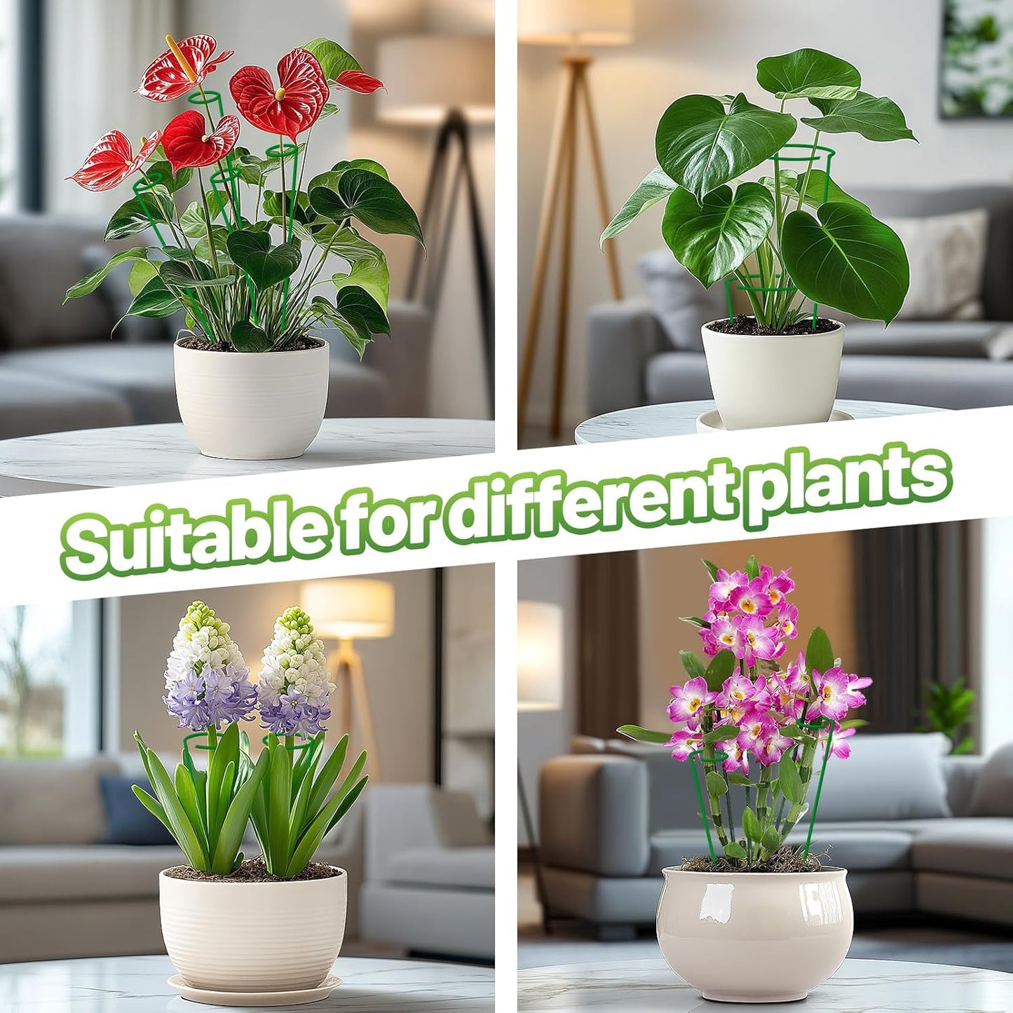 16ft Bendable & Cuttable Plant Stakes, Green Orchid Flower Stem Support Sticks with 800 Ties for Monsteras Money Trees Indoor Potted Plants Beans