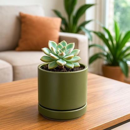 D'vine Dev 4.7 Inch Ceramic Planter Pot with Drainage Hole and Saucer, Indoor Cylinder Round Planter Pot, Olive, 94-O-B-J