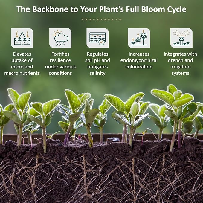 DYNOMYCO Spark 3 in 1 Mycorrhizal Inoculant Root Enhancer Powder for Plants – Root Stimulator for Plants Increases Access to Macro and Micro Nutrients (4 Oz/Up to 25 Plants)