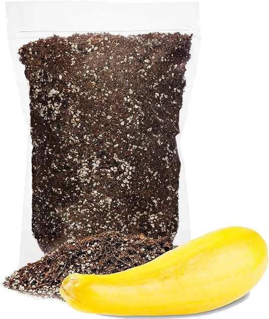Premium Organic Potting Soil for Squashes - (2 Quart Bag)