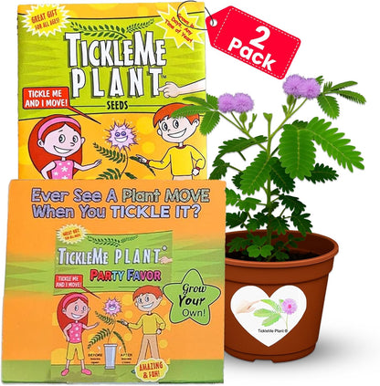 TickleMe Plant Birthday Party Favors (Pack of 2) | Leaves Fold When You Tickle It, Reopen in Minutes | Kids Plant Growing Kit with Indoor Plants Seeds, Live Plants, Grow Kit, Gardening for Kids