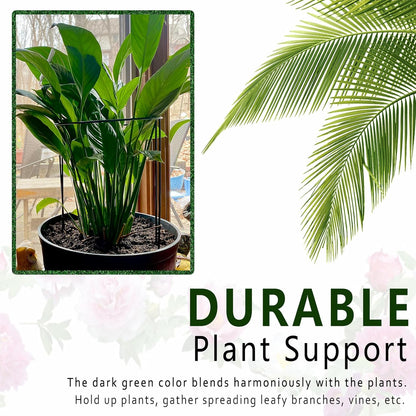 6 Pack Plant Support Stakes, Metal Monstera Plant Support Stakes for Indoor Plants, Large Garden Plant Support Ring, Tomato Cage, Tall Plant Holder Sticks (10" W X 15.8" H)