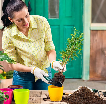 Citrus Tree Potting Soil Mix, Organic Loamy Potting Soil for Potted Lemon or Lime Tree, Special Blend for Indoor Oranges, Lemons, Limes and More