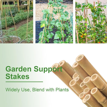 Bamboo Stakes 8FT, 8 Feet Natural Bamboo Plants Stakes, 1" D Thicker Heavy Duty Garden Stakes 10 Pack for Tomatoes, Beans, Flowers, Potted and More Climbing Plants