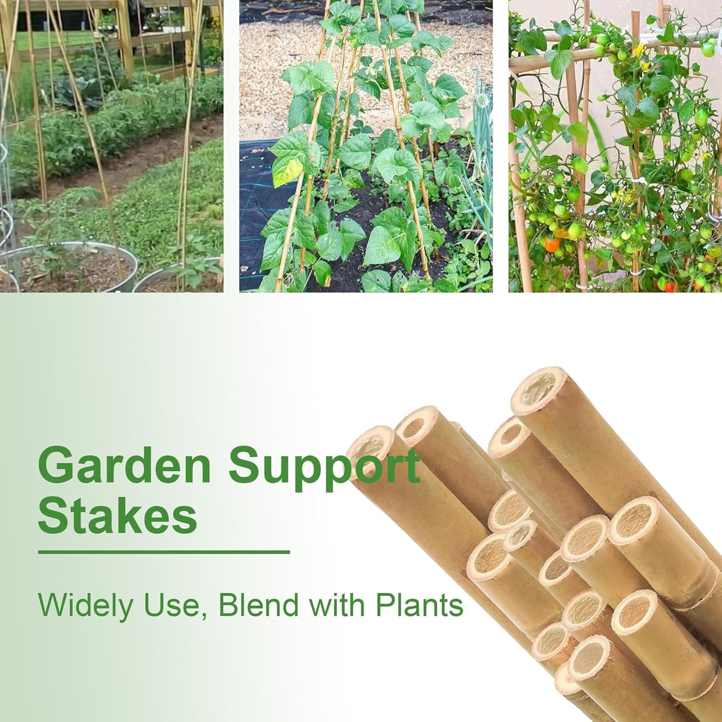 Bamboo Garden Stakes 2FT/3FT/4FT/4.8FT/6FT/7FT/8FT, Plant Stakes for Outdoor Plants, Plant Support Stakes Tomato, Vegetables Beans Trees Climbing Plants (6FT, Pack of 20)
