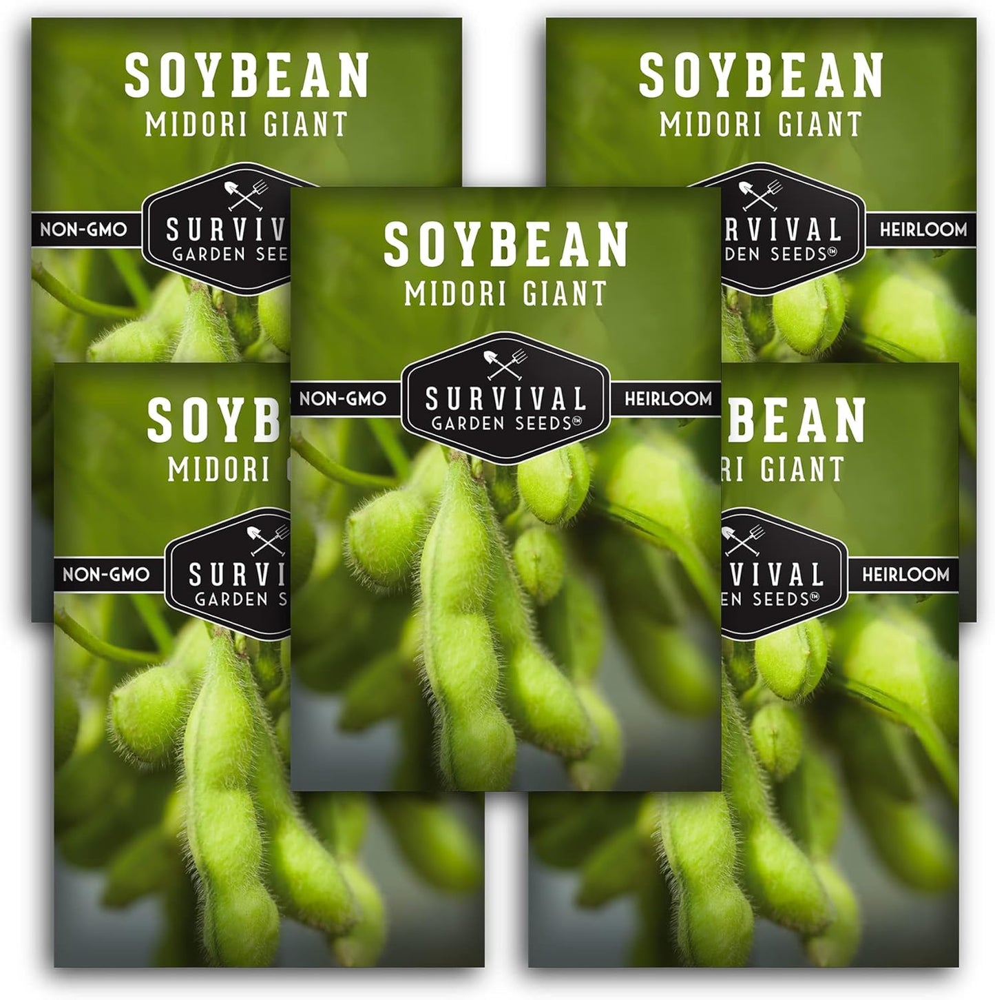 Midori Giant Soybean Seeds for Planting - Grow Protein-Rich Edamame Pods in Your Home Vegetable Garden - Non-GMO Heirloom Soy Bean - Survival Garden Seeds (5 Packs)