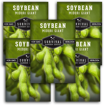 Midori Giant Soybean Seeds for Planting - Grow Protein-Rich Edamame Pods in Your Home Vegetable Garden - Non-GMO Heirloom Soy Bean - Survival Garden Seeds (5 Packs)