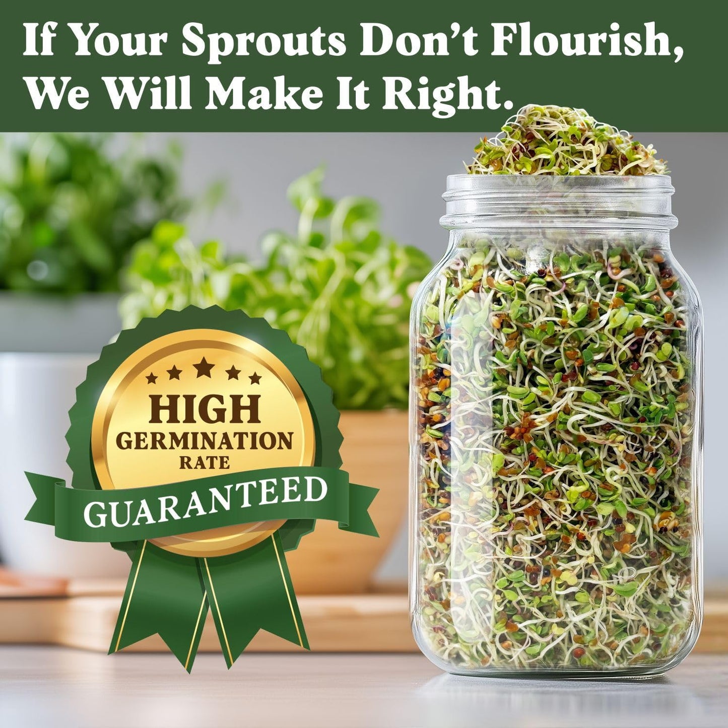 Seedboy Organic Non-GMO Sprouting Seeds, Longevity Blend – USA Grown Microgreens Mix with Broccoli, Red Kale, Black Kale, Alfalfa - 8 oz Bag Makes 6 Quarts / 20 Servings (Longevity Blend)