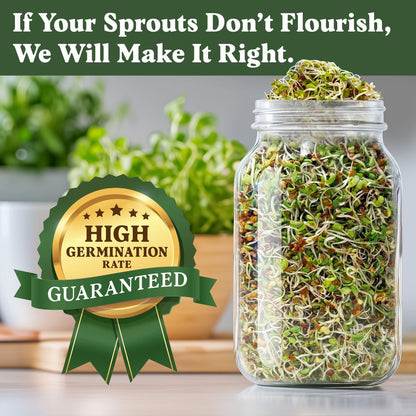 Seedboy Organic Non-GMO Sprouting Seeds, Longevity Blend – USA Grown Microgreens Mix with Broccoli, Red Kale, Black Kale, Alfalfa - 8 oz Bag Makes 6 Quarts / 20 Servings (Longevity Blend)