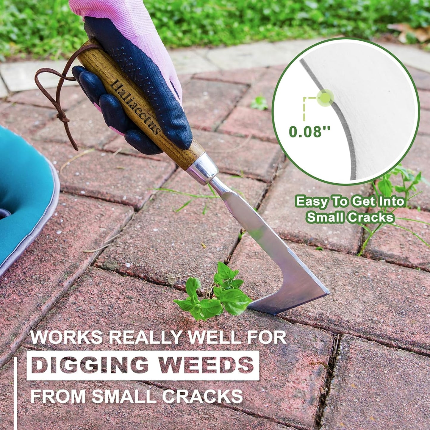 Haliaeetus Crack Weeder, L-Shape Stainless Steel Crevice Weeding Tool, Comfortable Grip Wood Handle Paver Weeder, 11'' Sidewalk Weed Removal Tool for Garden Lawn, Bricked Patio and Terrace Paving Moss