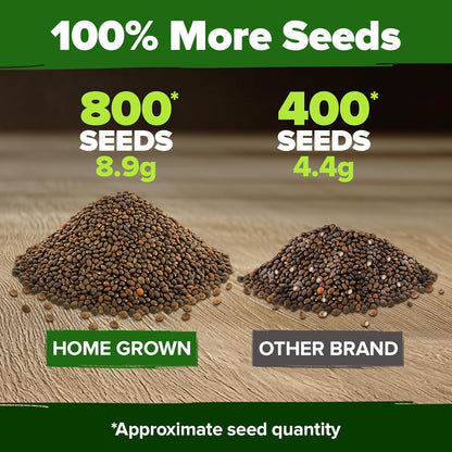 HOME GROWN 𝗨𝗦𝗔 𝗣𝗥𝗘𝗠𝗜𝗨𝗠 Cherry Belle Radish Seeds 800+ 𝗡𝗢𝗡-𝗚𝗠𝗢 Heirloom Vegetable Seeds for Planting Outdoors Harvest in 30 Days Red Radishes, Spring and Fall Gardens (Raphanus Sativus)