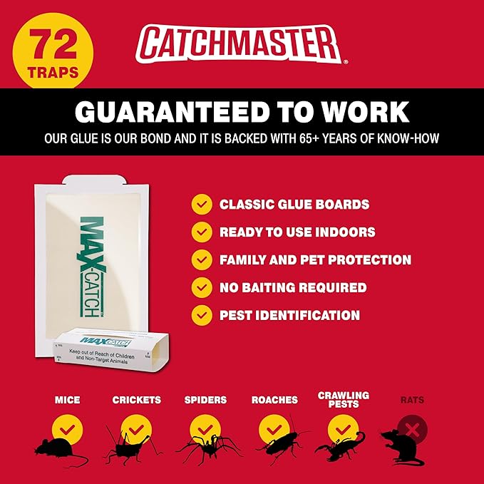 Catchmaster Max-Catch Mouse & Insect Glue Trap 72pk, Mouse Traps Indoor for Home, Sticky Pest Control Adhesive Tray for Catching Bugs, Bulk Classic Glue Boards