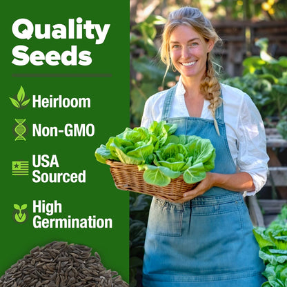 HOME GROWN Buttercrunch Lettuce Seed Pack - 3950 𝗡𝗢𝗡-𝗚𝗠𝗢 𝗨𝗦𝗔 Vegetable Seeds - Ideal Seeds for Hydroponic Garden Indoor Premium and Heirloom Butter Lettuce Seeds for Planting (Lactuca sativa)