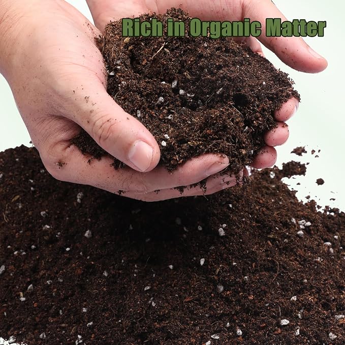 Potting Soil Mix for Fern 2qt, Custom Hand Blended Mixture Suitable for Indoor/Outdoor Potted Fern Plant