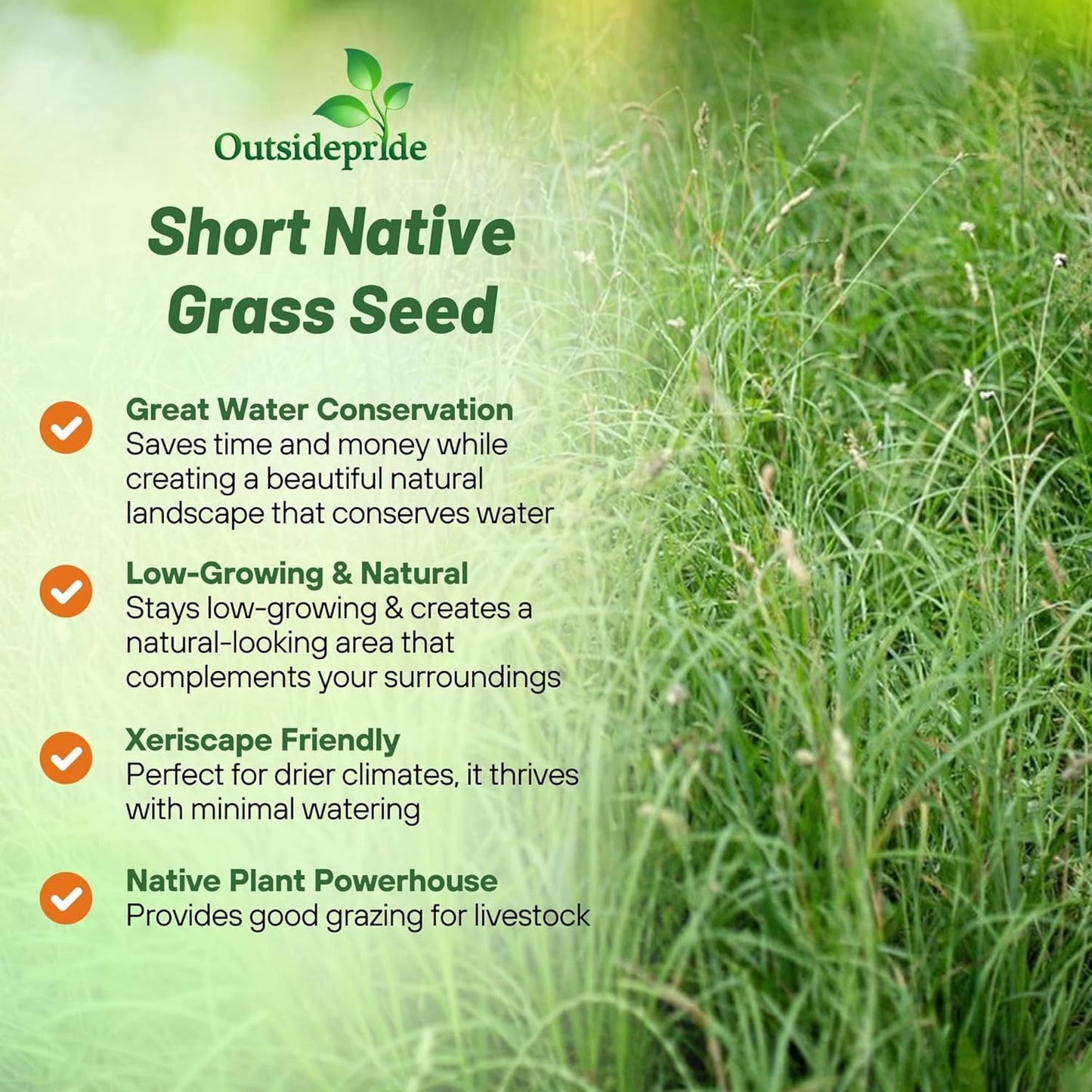 Outsidepride Perennial Short Native Grass Seed Mix - 5 lbs. Premium Mix of Blue Grama, Buffalo, Sideoats Grama, & Sheep’s Fescue Grass Seeds for Low-Maintenance, Heat & Drought-Tolerant Landscaping