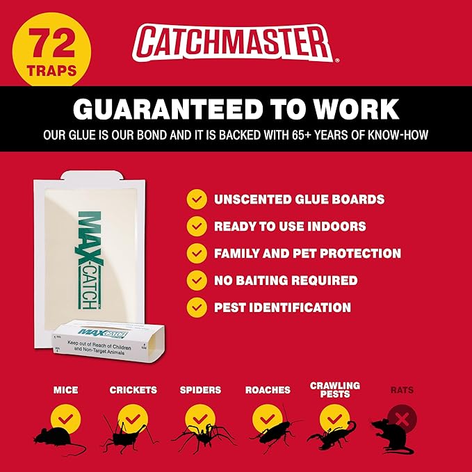 Catchmaster Max-Catch Mouse & Insect Glue Trap 72PK, Mouse Traps Indoor for Home, Sticky Pest Control Adhesive Tray for Catching Bugs, Rats & Rodents, Bulk Unscented Glue Boards