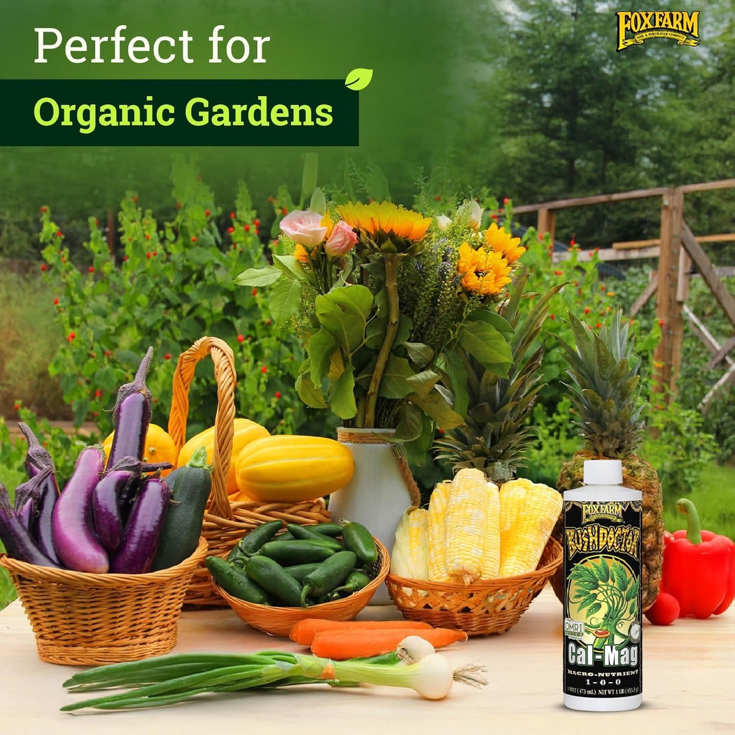 FoxFarm BushDoctor Cal-Mag - Liquid Calcium & Magnesium Supplement, Prevents Blossom End Rot & Tip Burn - Formula with 3% Calcium, 0.9% Magnesium for Gardening- NPK 1-0-0 (Pint)