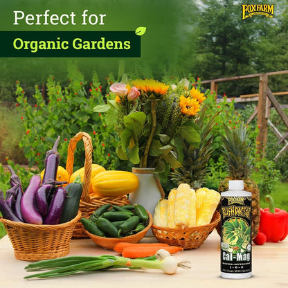 FoxFarm BushDoctor Cal-Mag - Liquid Calcium & Magnesium Supplement, Prevents Blossom End Rot & Tip Burn - Formula with 3% Calcium, 0.9% Magnesium for Gardening- NPK 1-0-0 (Pint)