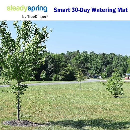 SteadySpring® 24" Smart 30+Day Tree Watering Mat - AUTO Refills with RAIN and Slow Releases As Plant Needs - for Root Balls 11" - 15" Dia Slow Release Technology Prevents Over and Under Watering (2)