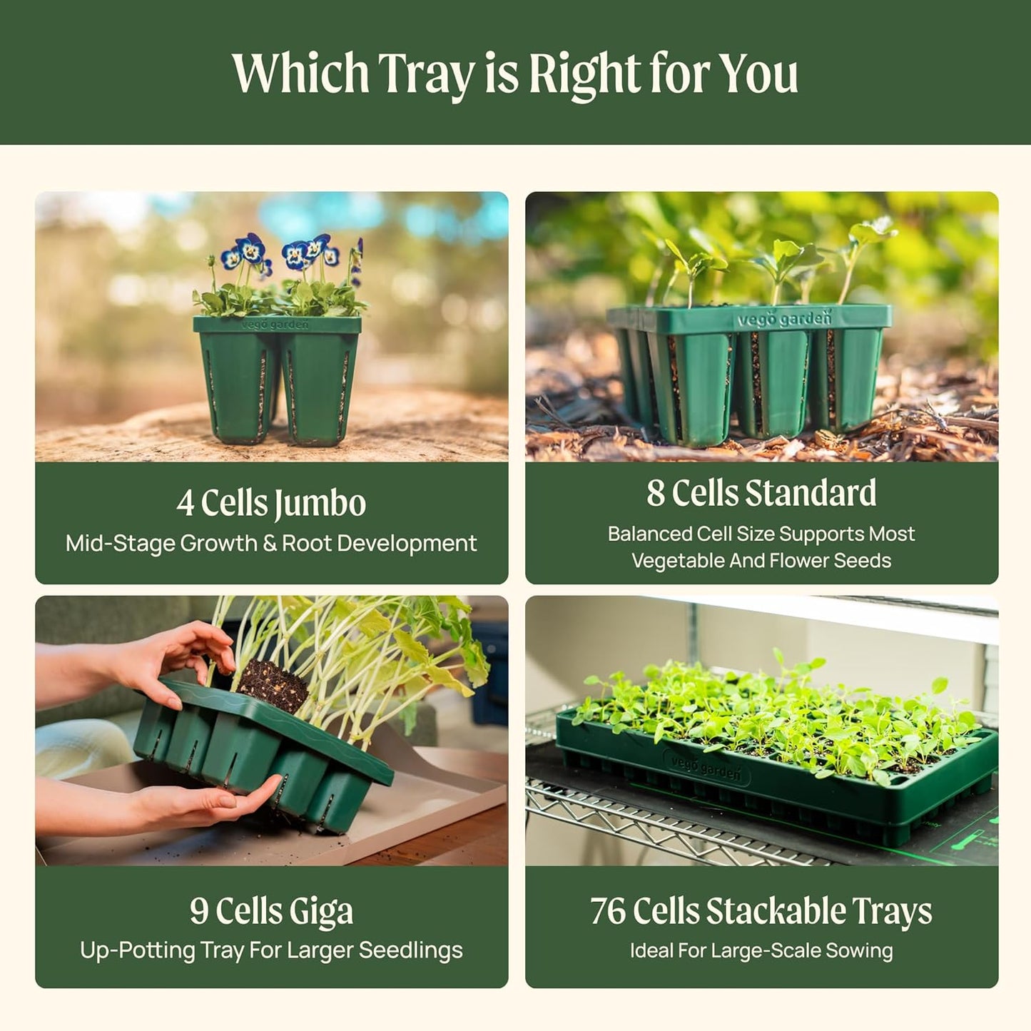 Vego garden 10" x 20" 76 Cells Seed Starter Tray Stackable Seedling Starting Germination Trays for Plants Planting Vegetables Herbs Flowers, 2 Set
